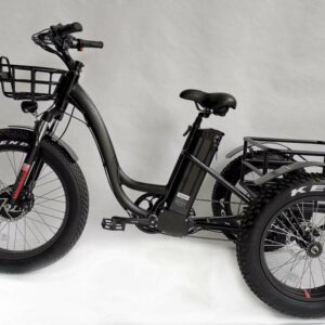 BaFang 750W All-Terrain Fat Tire Electric Tricycle, 23 mph, 55-Mile Range, 48V Samsung Battery